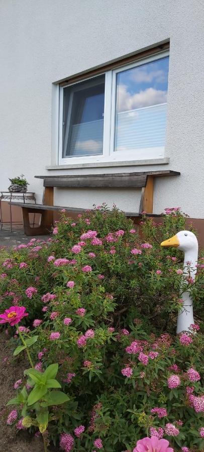 Fewo Hafner "Zuhause Mit Ausblick" Schnaittach Extérieur photo